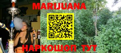 прущие грибы Обнинск