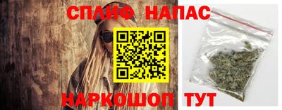 прущие грибы Обнинск