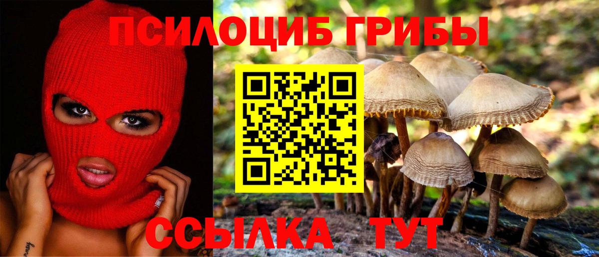 Галлюциногенные грибы ЛСД  Вход с VPN  Псилоцибиновые грибы ЛСД  Серпухов 